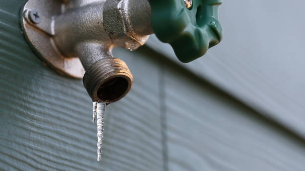 Best Plumbing Installation Services  in Chrisman, IL